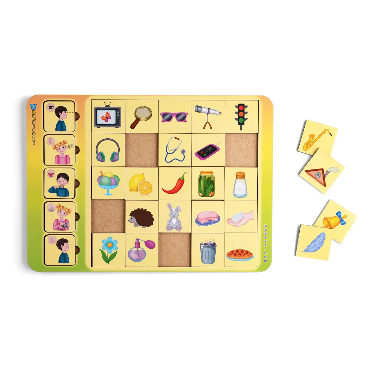 Rūšiuoklis „Asociacijos – pojūčių organai“