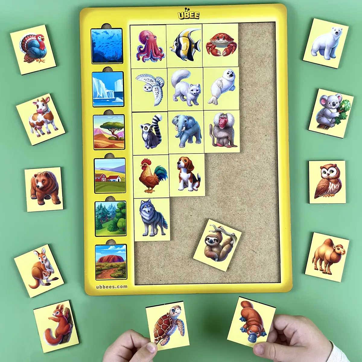 Žaidimas „Asociacijos – gyvūnai“ - Image 3