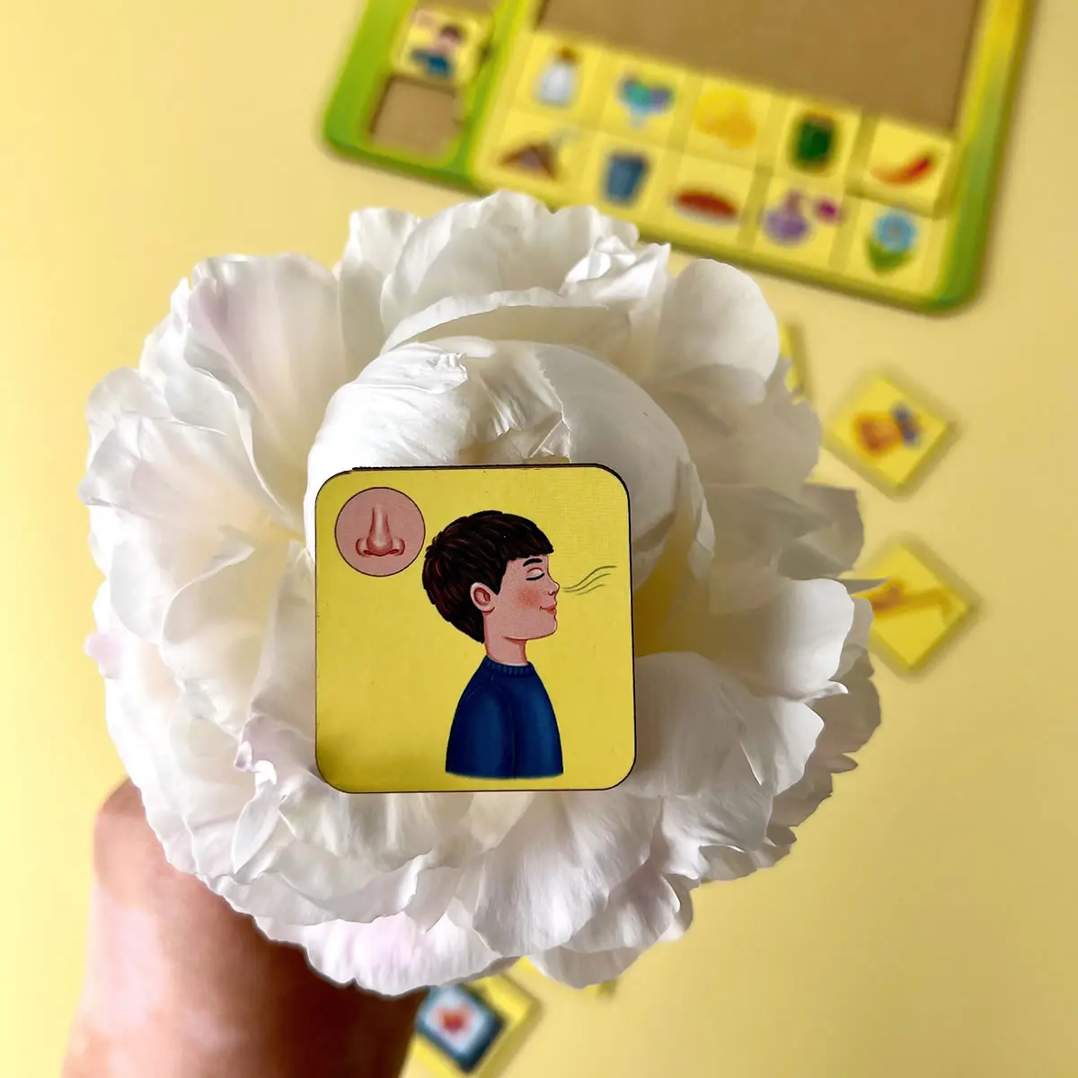 Rūšiuoklis „Asociacijos – pojūčių organai“ - Image 6